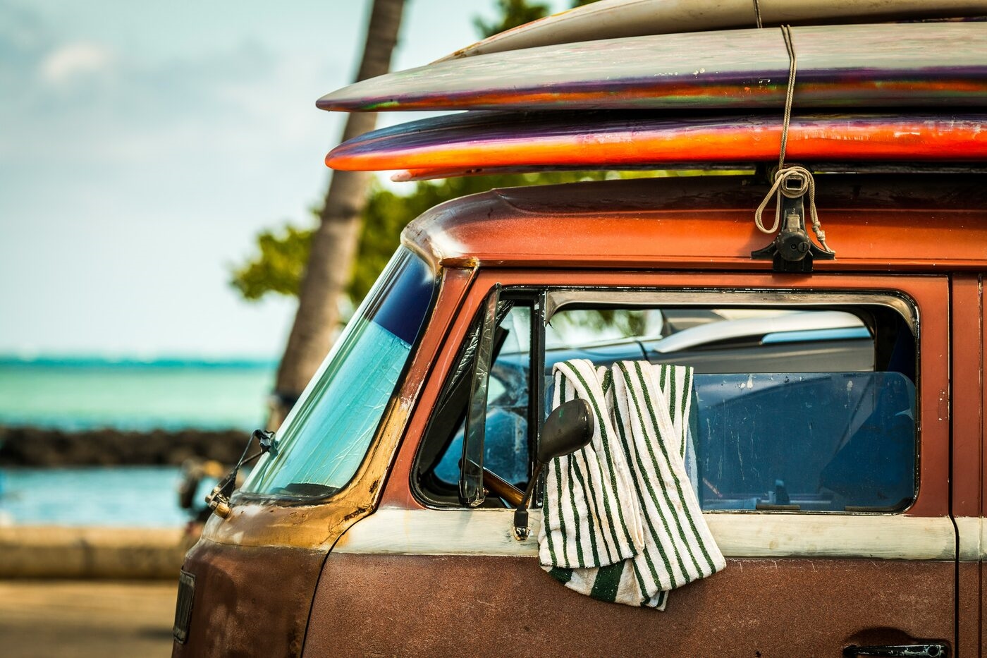 Surfer dating profile tips
