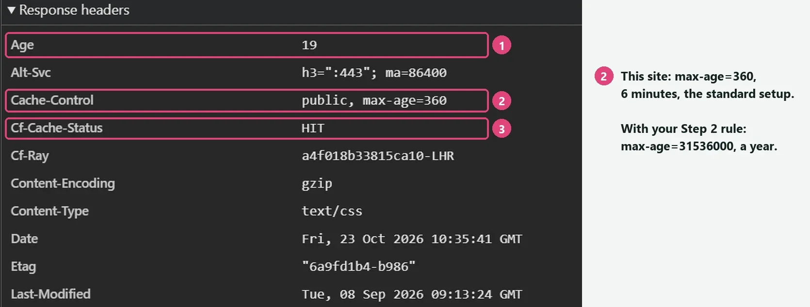 The response headers for a stylesheet served through Cloudflare. Age is 19 (1). Cache-Control is public, max-age=360 (2), noted as 6 minutes on the standard setup, and max-age=31536000, a year, with the Step 2 rule. Cf-Cache-Status is HIT (3).