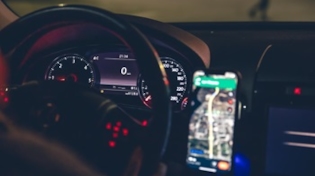 Discover The Best Dogging Sites