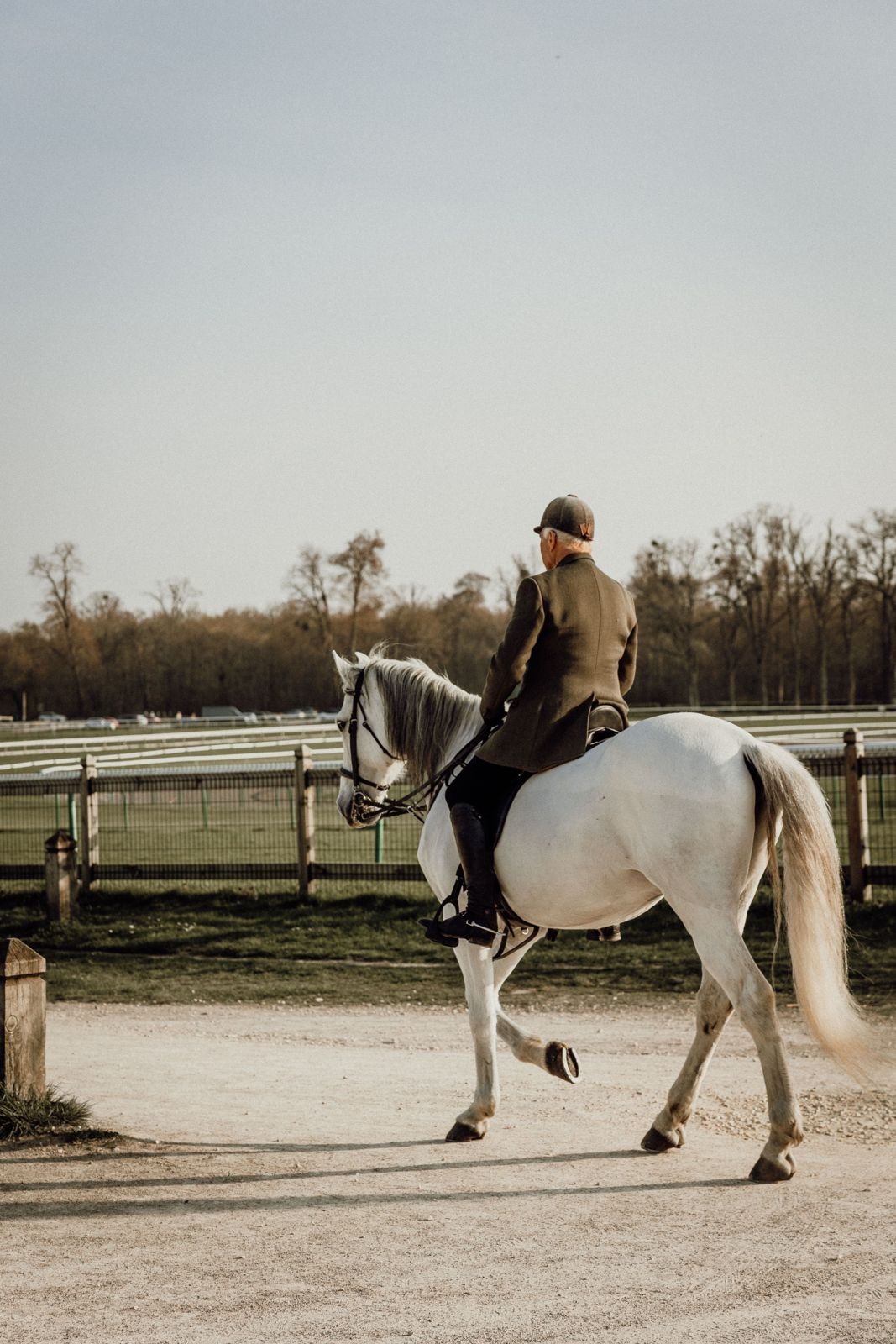 A rider in a flat cap walking a grey horse around a sandy paddock in soft evening light