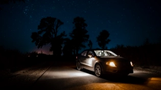 Explore The Dogging World