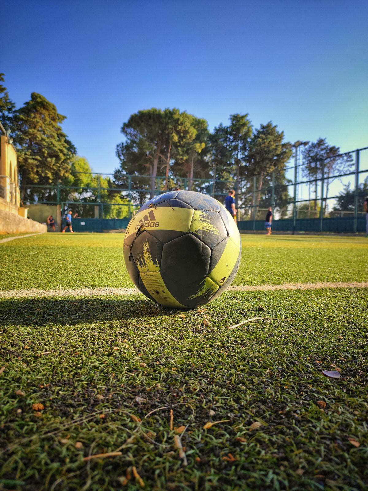 A football resting on a grass pitch at sunset