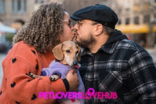 Singles connecting through a luxury pet-focused dating platform with shared pet interests