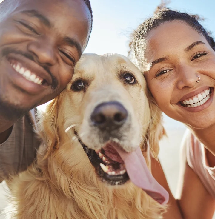 Dog Lovers