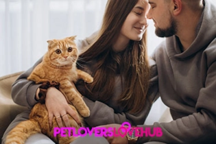 Happy couple of pet lovers on a first date smiling together with their cat beside them