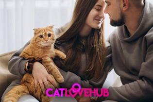 A romantic couple after a dinner date with their cat and sharing their first kiss with each other.