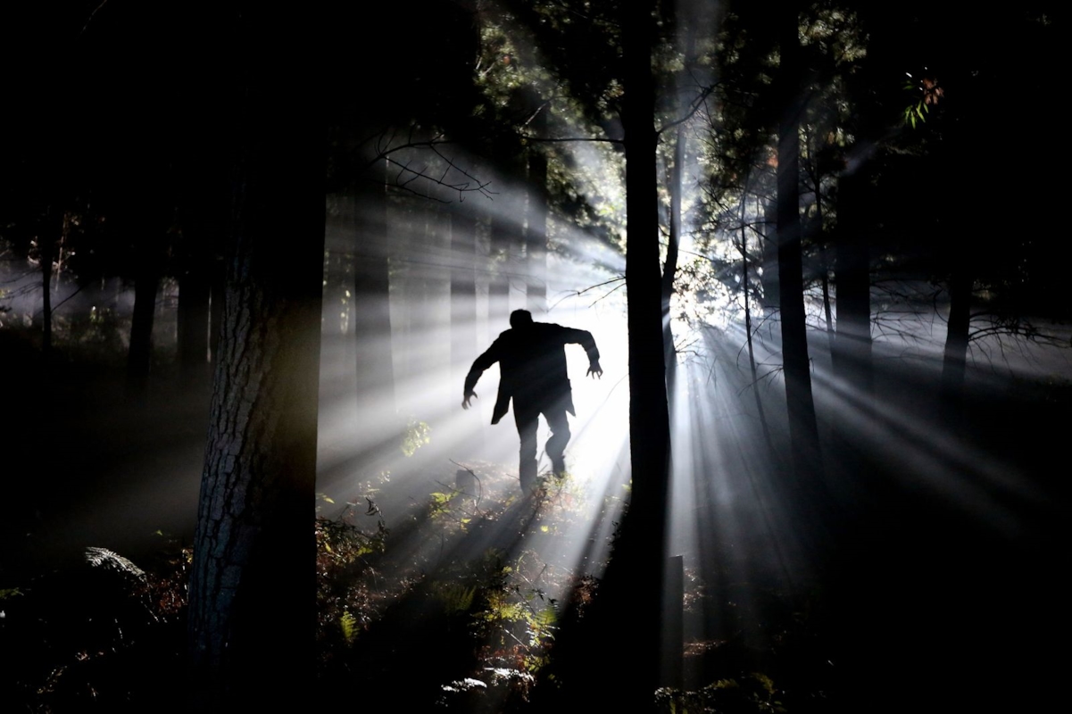 A silhouetted figure walks through a forest as sunlight streams between the trees