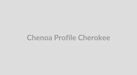 Chenoa, Cherokee Nation, 29