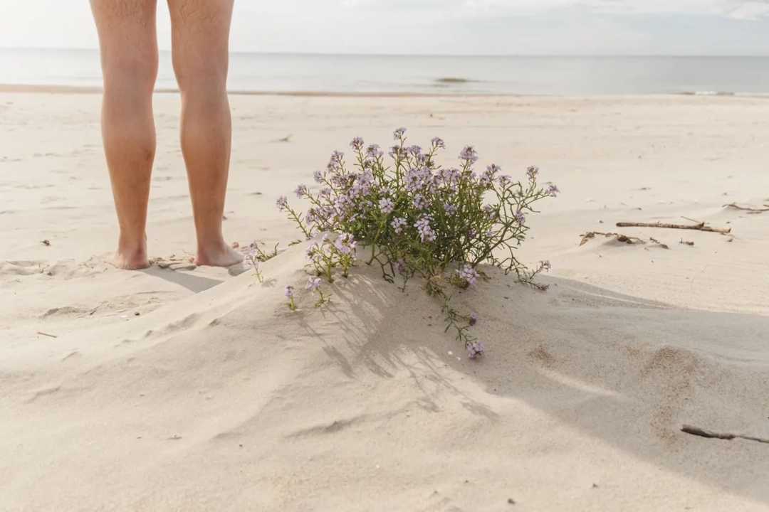 Illustrative stock photograph of a natural beach setting