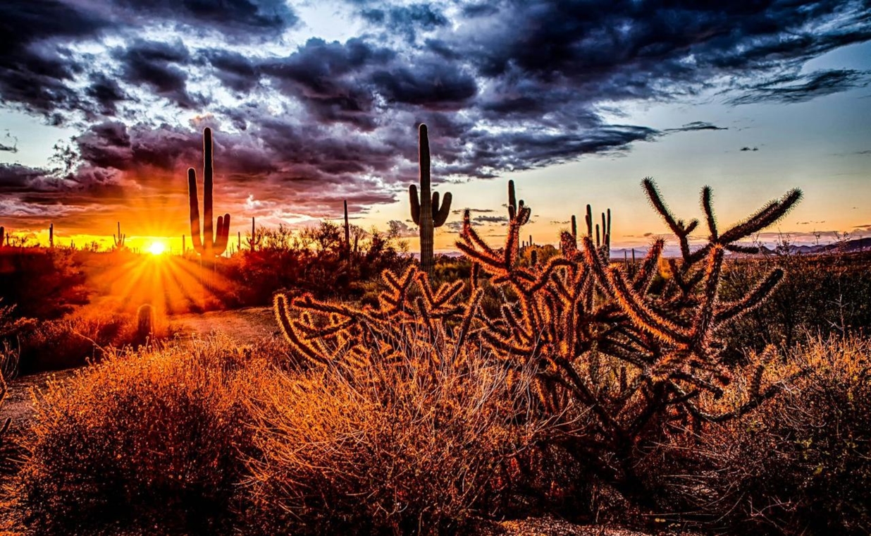 Palmeras y atardecer del suroeste, símbolo de la escena swinger latina en Arizona