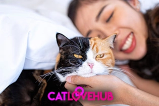 A happy woman texting on her phone while her kitten sits with her, symbolizing connection.