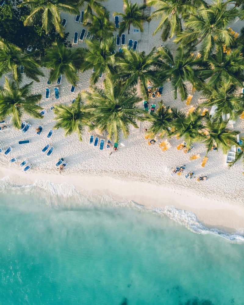 Vista aérea de una playa de arena blanca con palmeras y mar turquesa en República Dominicana
