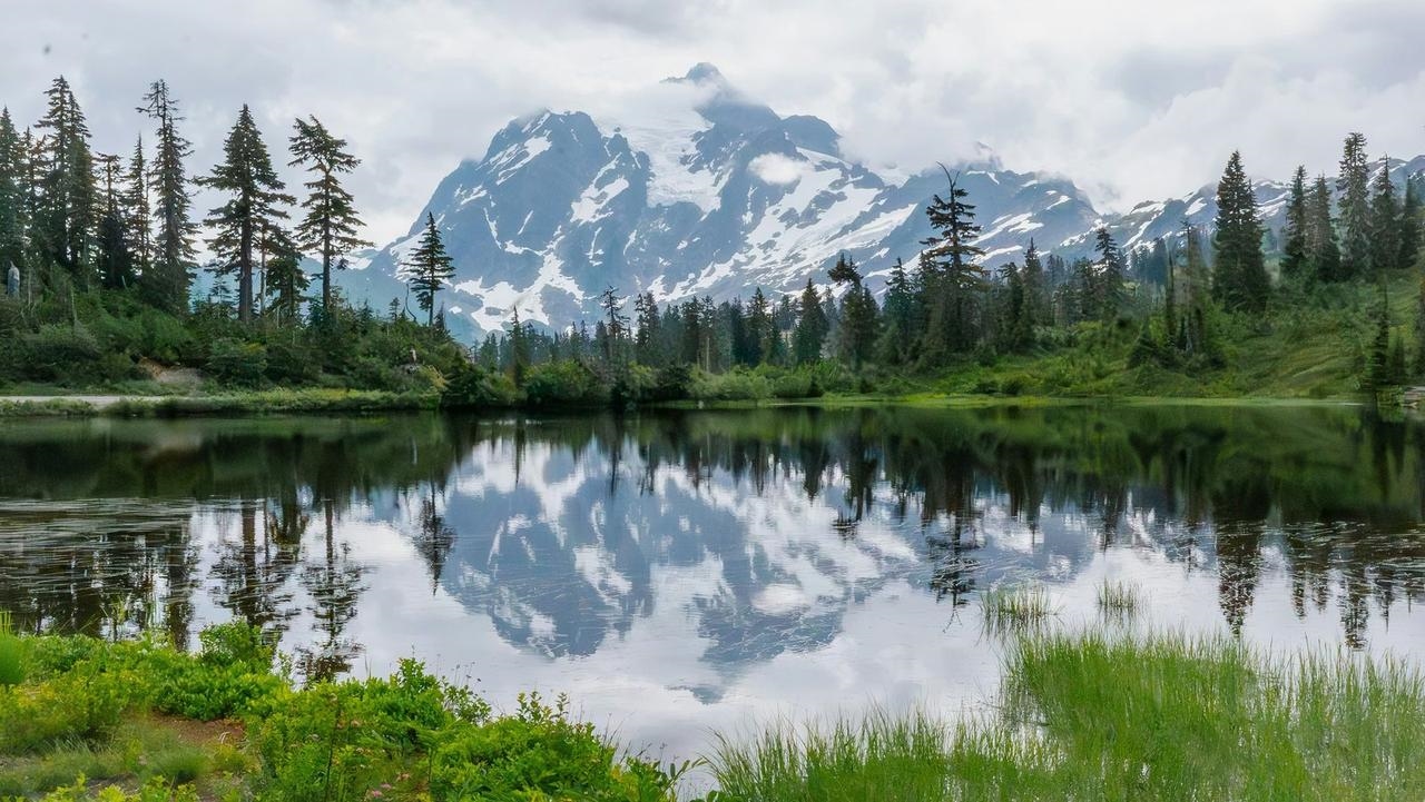 Paisaje que evoca la escena swinger latina en el estado de Washington