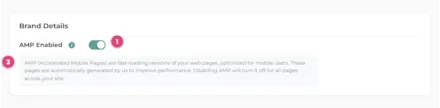 AMP pages screenshot