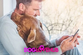 Person smiling while uploading a photo of their Labrador to a dating app profile on a smartphone.