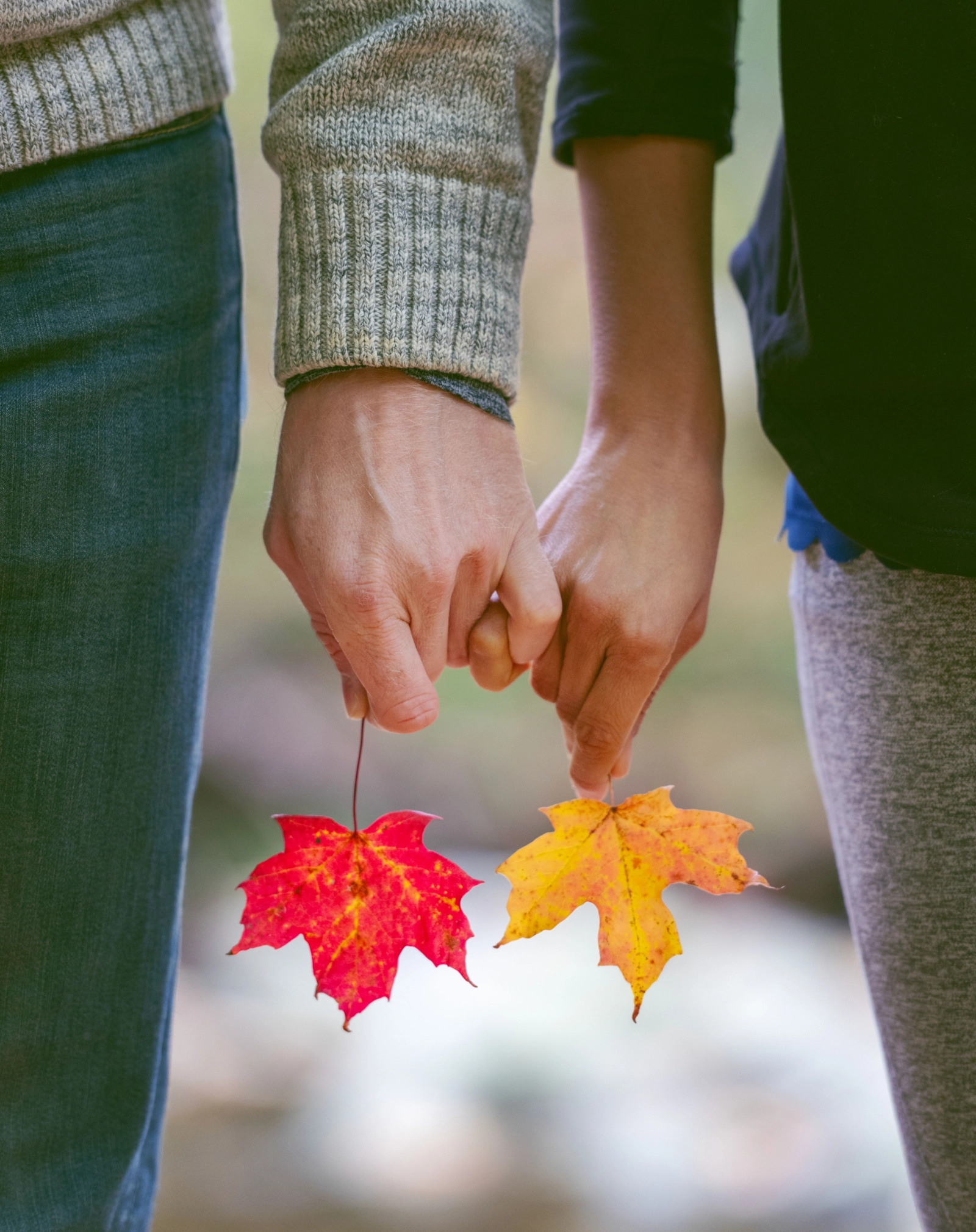 Two people holding hands, each holding a red maple leaf