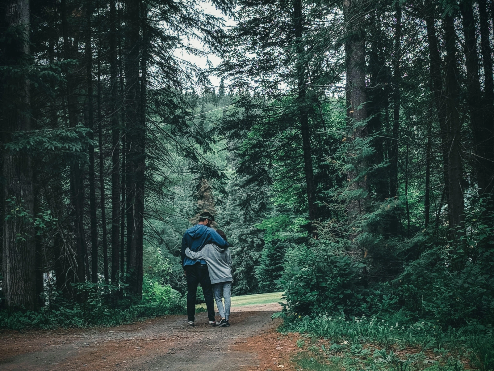 Couple walking hand in hand along a forest trail