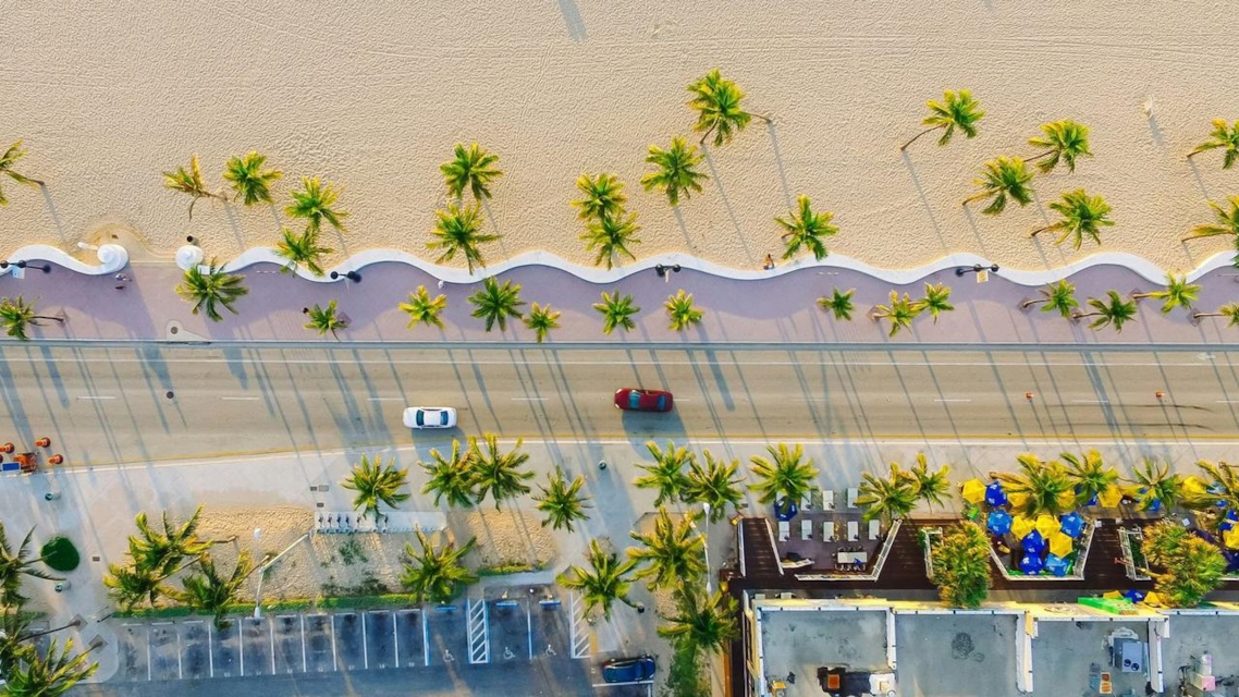 Playa con palmeras del Golfo que evoca la escena swinger latina en Tampa