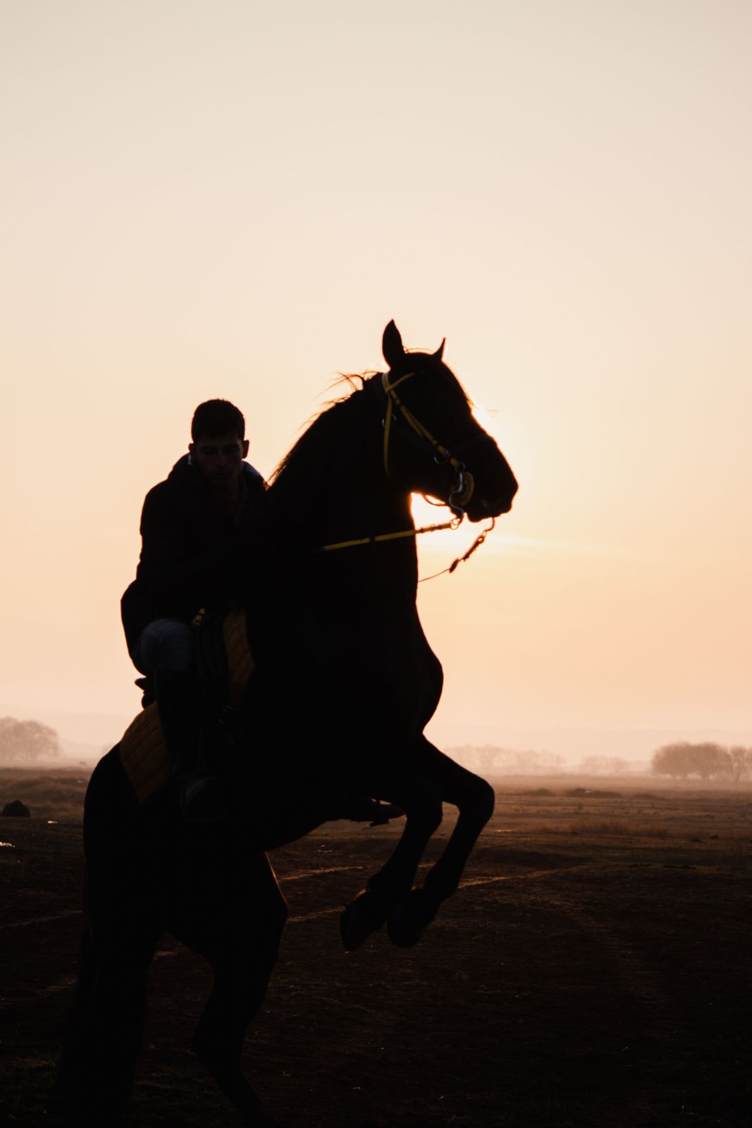 The silhouette of a rider on a rearing horse against a pale orange sunset sky
