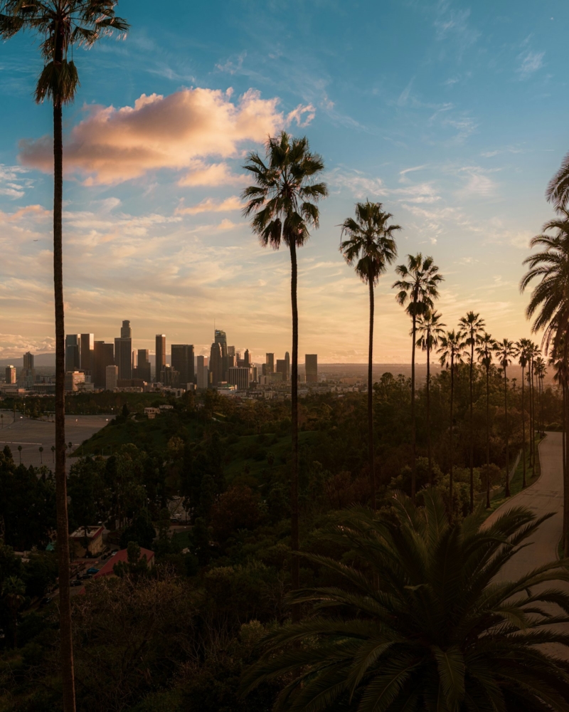 Palm trees and the downtown Los Angeles skyline at sunset