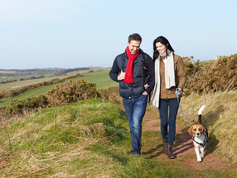 A couple walking a beagle along a grassy coastal path in bright weather