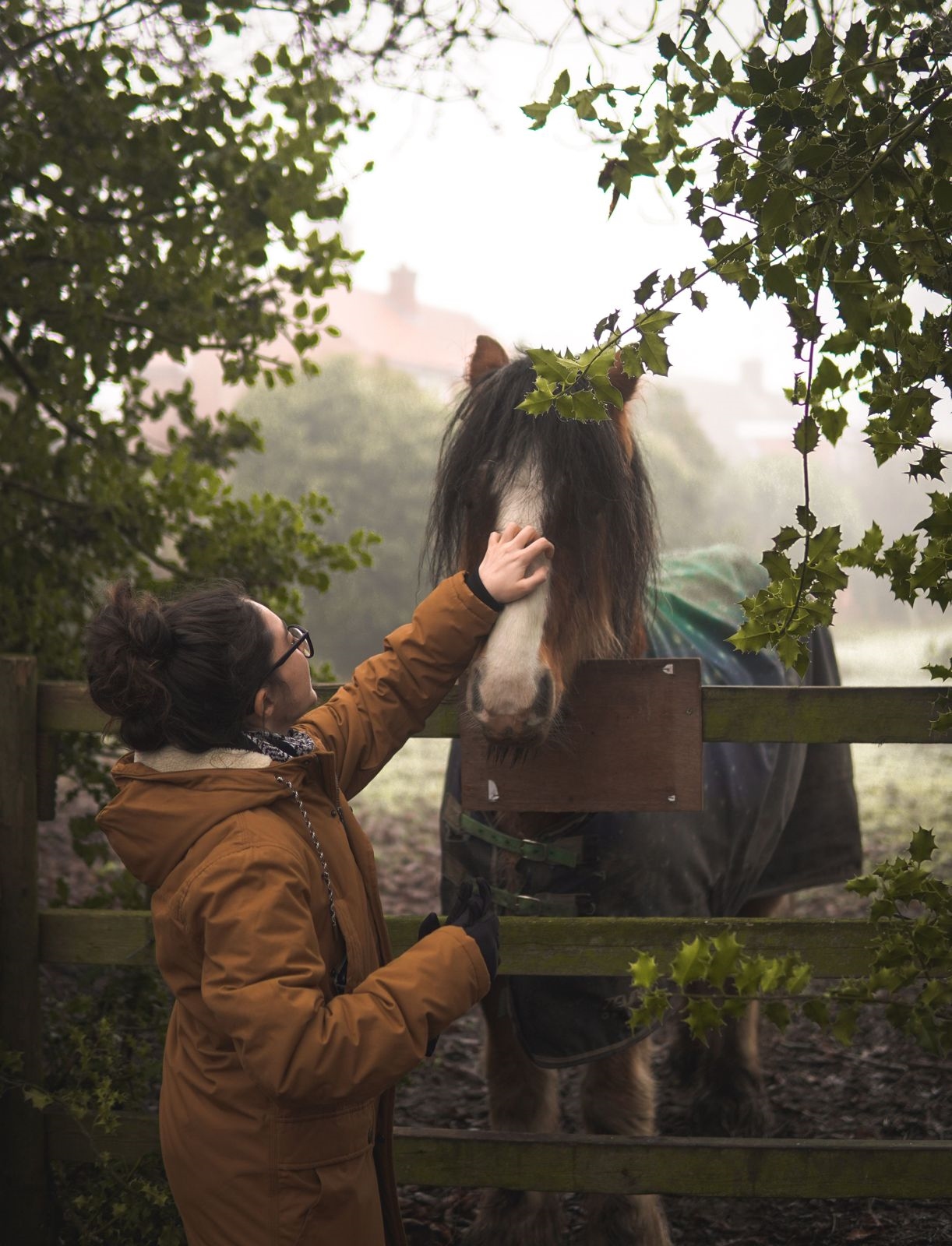 A woman in a warm jacket stroking a rugged horse over a wooden field gate on a misty morning