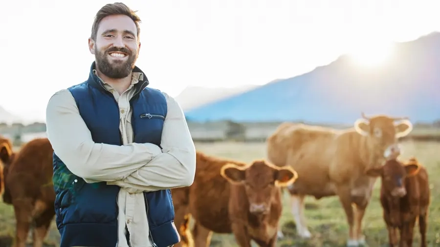 A farmer standing with his cattle in a field at sunrise