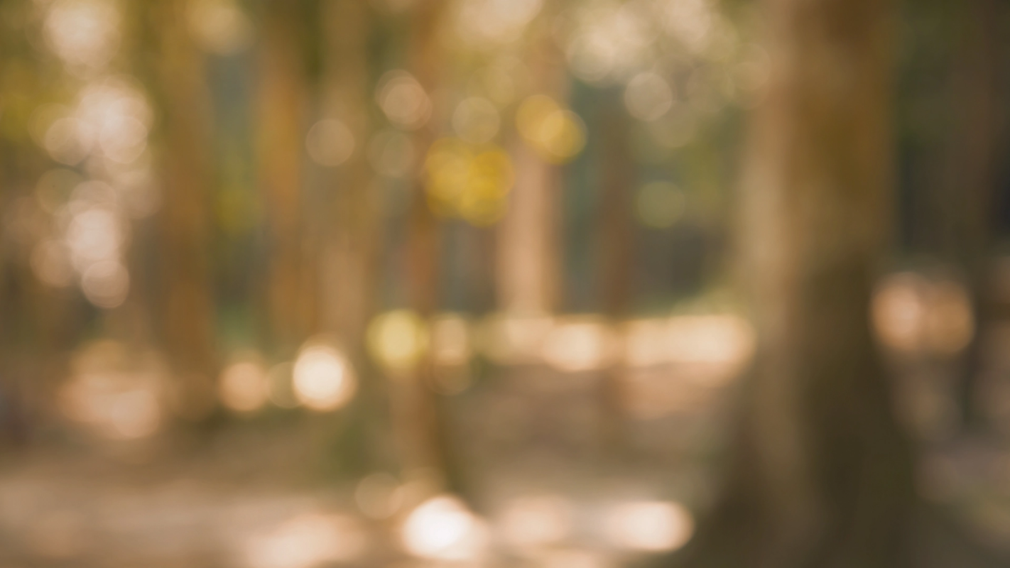 https://b.hub-cdn.com/images/generic/b09c0c05-0268-40c2-8442-8a2f6ef72197.png?width=1600&height=900