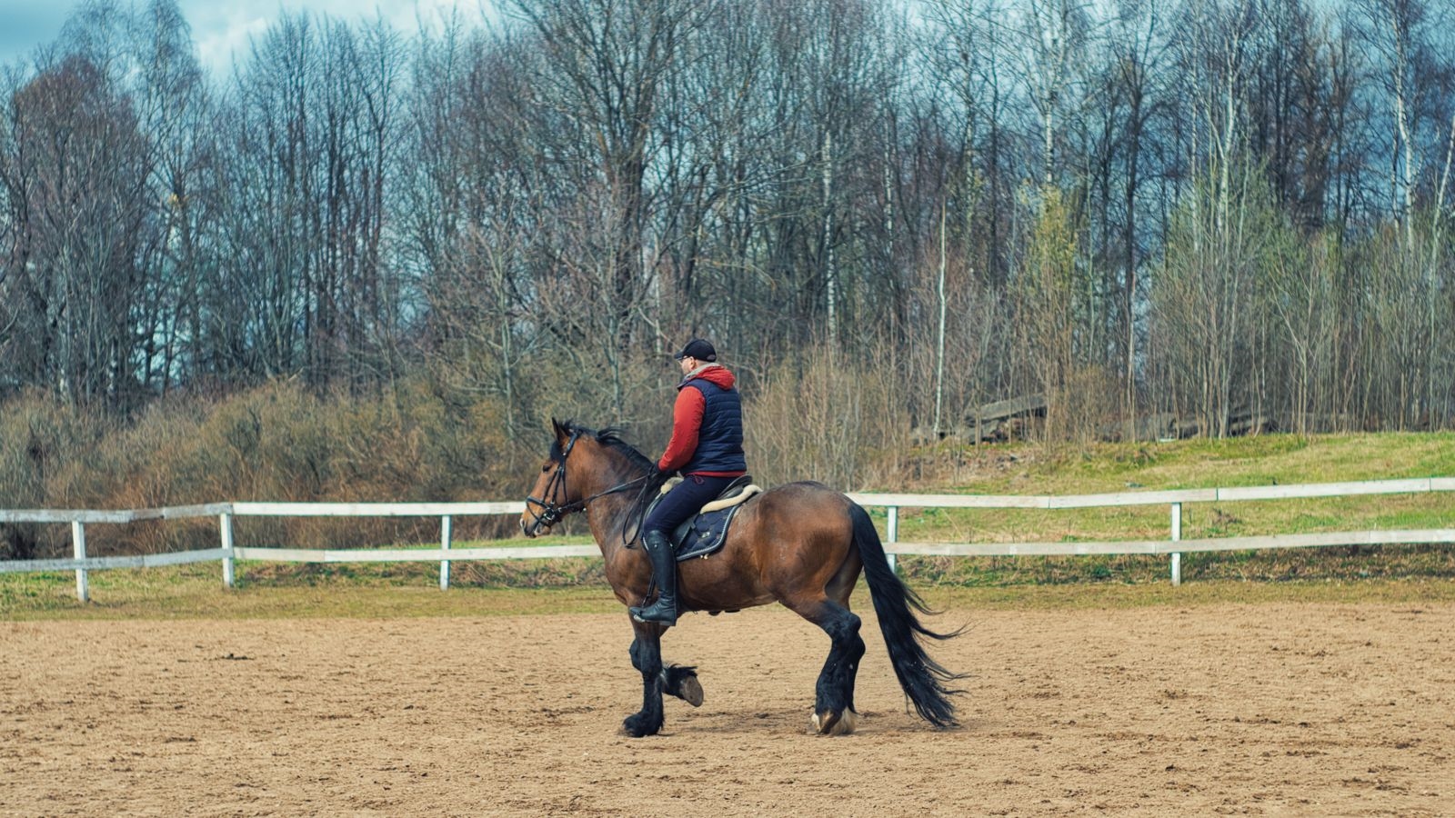 A rider in a red jacket and navy gilet schooling a bay horse in an outdoor sand arena
