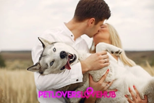 Happy couple enjoying a park date with their pets after meeting online on a pet-focused dating app
