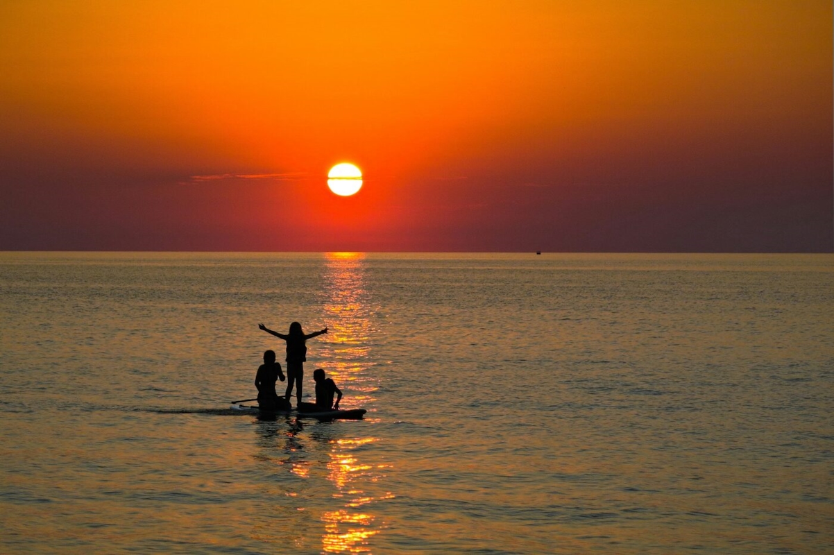 surf communities singles