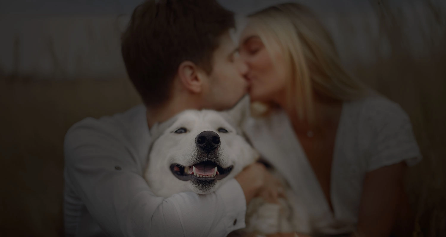 A happy couple walking their dog in a sunlit park, representing meaningful connections and shared dog-loving lifestyles at Dog Love Hub.