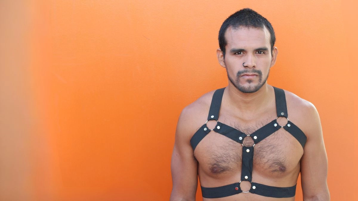 gay bdsm
