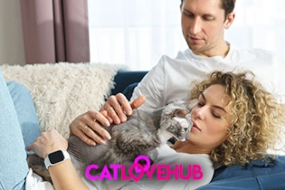 A happy couple relaxing on a sofa with their cat after a first date.