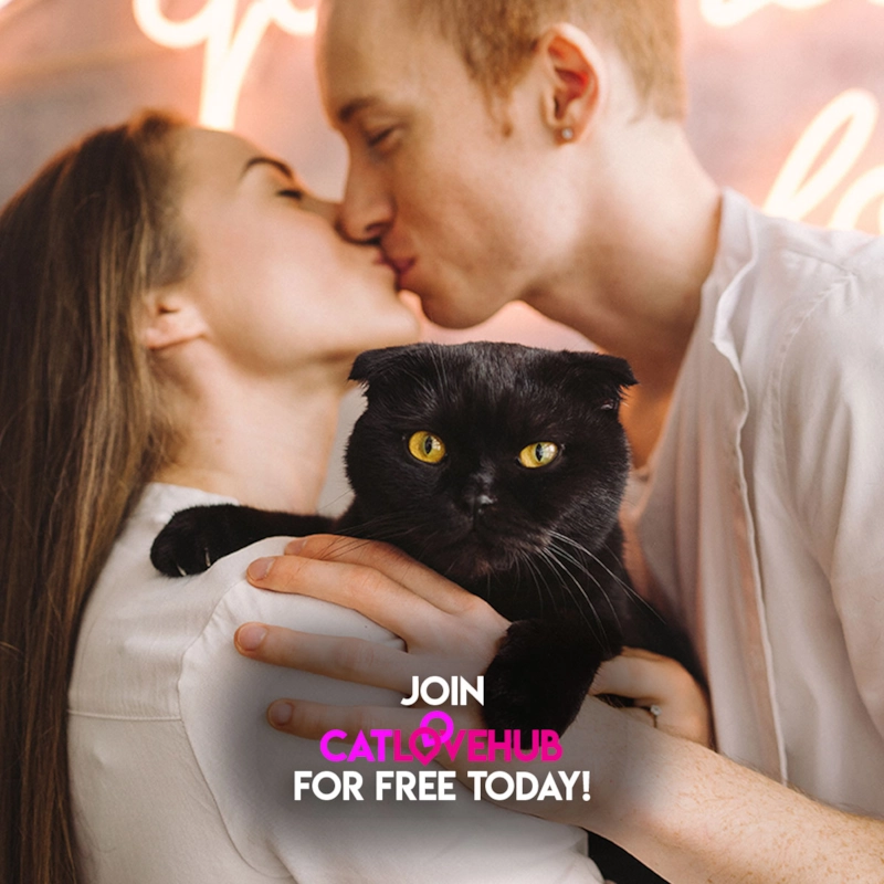 Join thousands of Single Cat Lovers at Cat Love Hub Looking to Find and Date Someone For Meaningful Relationships, Friendship & Fun Today