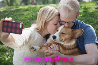 Users creating a pet lover dating profile on Pet Lovers Love Hub with pet photos included